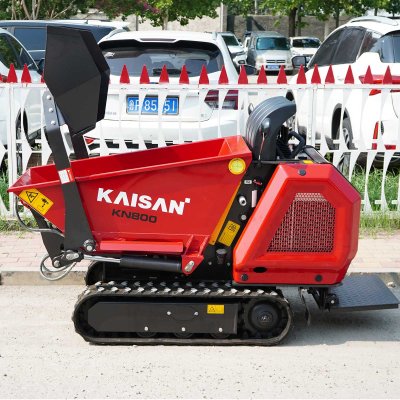 Dumper Mini With Lifting